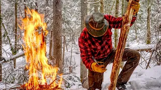 A Month in an Off Grid Log Cabin in the Wilderness with my Dog - January in Canada