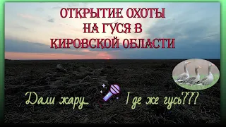 Открытие весенней охоты на ГУСЯ в Кировской области с живыми подсадными. Целый год в ожидании этого.