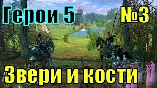 ГЕРОИ 5. Воля Асхи - Новый союз