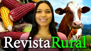 PROGRAMA REVISTA RURAL - 10/09/2023