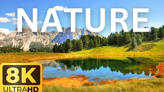 NATURE IN 8K ULTRA HD | EPIC VERTUAL TOUR WITH SLEEP MUSIC 🌿🏝🌴