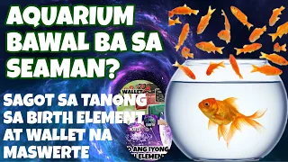 🍀MASAMA BA ANG AQUARIUM SA MGA SEAMAN O SEAFARER? | AQUARIUM FENGSHUI TIPS |