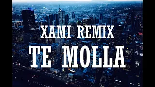ARNON ft. Killua - Te Molla (Xami Remix) (Bass Boosted)