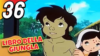 LIBRO DELLA GIUNGLA | Episodio 36 | Italiano | The Jungle Book