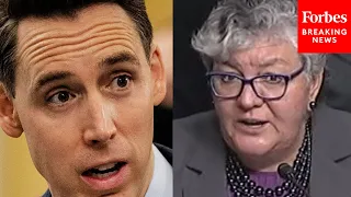 'I'm Astounded, Frankly, That You've Been Nominated': Hawley Rips DOD Nominee Over Religious Views