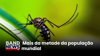 Malária e dengue podem afetar 4,7 bilhões de pessoas | BandNews TV