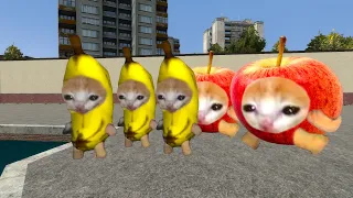 Applecat and bananacat nextbot Gmod