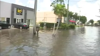 South Florida braces for flooding, rain from Tropical Depression Eta