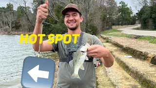Hunting for BIG BASS at my favorite spots. NEW COMBO !!!