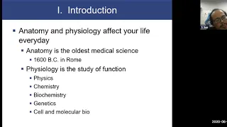 1 Homeostasis Human Physiology