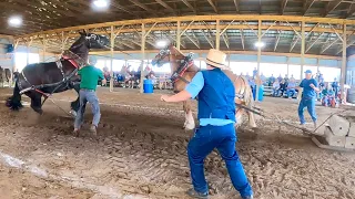 TROUBLE AT THE HORSE PULL?!!!! // Draft Horse Pull in Madrid, NY #529