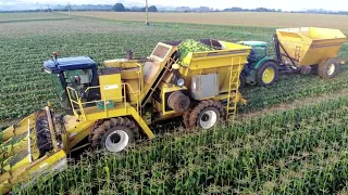 Oxbo Super Jack Sweet Corn Harvester and Oxbo 1524 Trailer