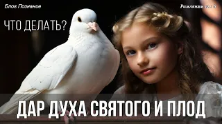 Дар Духа Святого и плод, что делать?