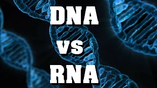 DNA vs RNA - der schnelle Vergleich!