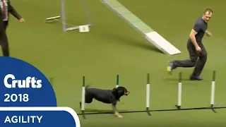 Agility - Kennel Club British Open Final (Agility) Part 2 | Crufts 2018