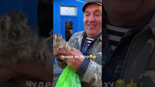 Чудеса на пасху!