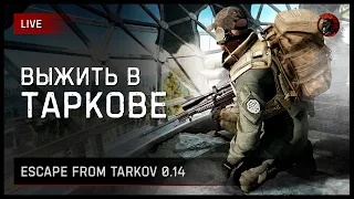 🐀🐈 Тарков с [Chaos Tricks от чата] • Escape from Tarkov https://www.donationalerts.com/r/ImSHA1TAN