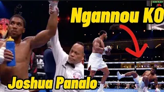 Anthony Joshua BRUTALLY KOs Francis Ngannou in Boxing Match | Ringside Footage