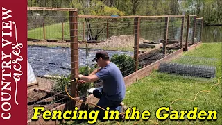 Fencing in the Vegetable Garden.  Installing welded wire fence.