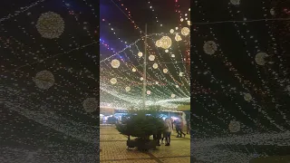 Xmas tree 2021 in Kiev / Новогодняя Ёлка 2021 в Киеве 🎄