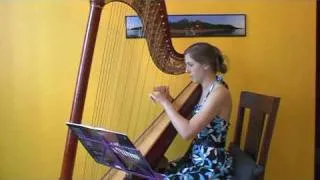 Harry Potter themes on harp - Hedwig's Theme