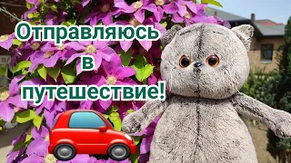 Новые приключения Басика! Как весело провести время 😉