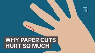 Why Paper Cuts Hurts So Much