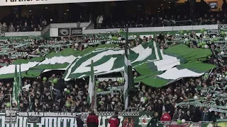 BEST OF SV Werder Bremen Fans 💚💚 II Emotional Video !!