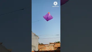 big kite looting 😱। #kitelover #patang #kite #kitelooting #bigkite #patang