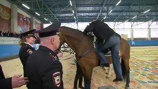 VIDEO: Russian President Vladimir Putin went horseback riding in Moscow Thursday