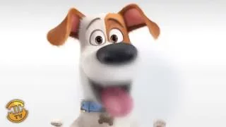 Meet Max - The Secret Life of Pets