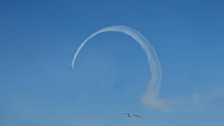 Red Arrows Torbay 2023 - English Riviera Airshow