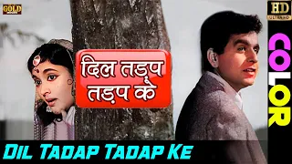 दिल तड़प तड़प के / Dil Tadap Tadap Ke (COLOR) HD - Mukesh, Lata Mangeshkar | Dilip, Vyjayanthimala.