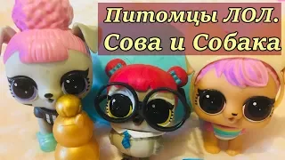 LOL Surprise pets. ЛОЛ питомцы. Открываем шарики ЛОЛ с питомцами. ДЕКОДЕР. Видео