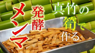 知っていますか？【メンマ】は発酵食品！！「塩漬け」「発酵」「乾燥」から生まれる本物の味と食感　【発酵メンマの作り方】