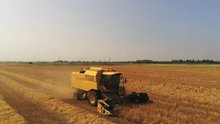 Harvest 2021 - Combining Winter Barley