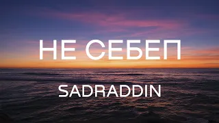 НЕ СЕБЕП - SADRADDIN (Lyrics | Текст песни)