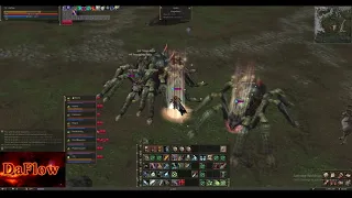 L2 Reborn x3 Cripplers CP ( Daflow - Treasure Hunter ) daily pvp