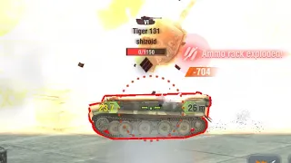 Ammoracking a tiger 131