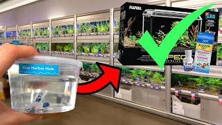 Everything You NEED TO BUY For A BETTA FISH!