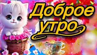 💗☕️🌷Доброе Утро! Хорошего Дня! Заряд Позитива на Весь День!💞