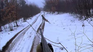 Отличная зимняя охота.  Загонная охота.  Трофей просто удивил! Круто нет слов!