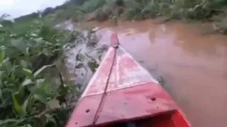 Sarawak river