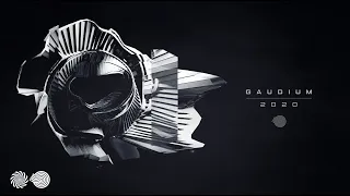 Gaudium - 2020