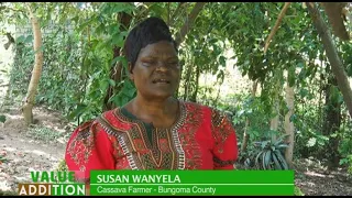 Cassava value addition and how to maximize profits - Expert Part 1