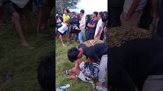 Entah apa yang merasukimu !! detik detik kesurupan kuda kepang #shorts #kudalumping