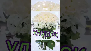 🎂🎵🎉ПОЗДРАВЛЕНИЕ С ДНЁМ РОЖДЕНИЯ! Белые розы. Ю.Шатунов.🌹🌹🌹