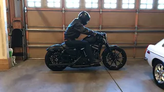 2019 Harley Iron 883 Sportster with 6 foot tall rider