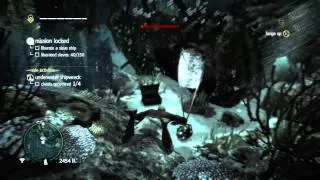 Assassins Creed IV Freedom Cry - Locate Jackdaw Wrecked Ship Underwater (Diving) Sequence PS4