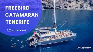The Ultimate 2023 Guide to the Freebird Catamaran Trip in Tenerife